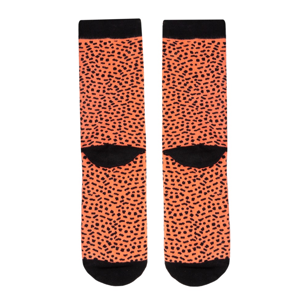 Shells Coral Socks 2