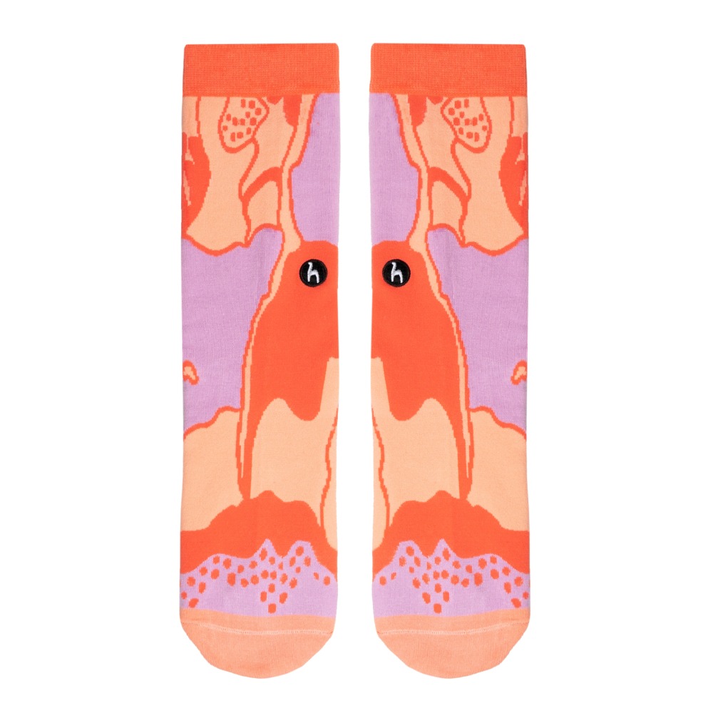 Reef Socks 1