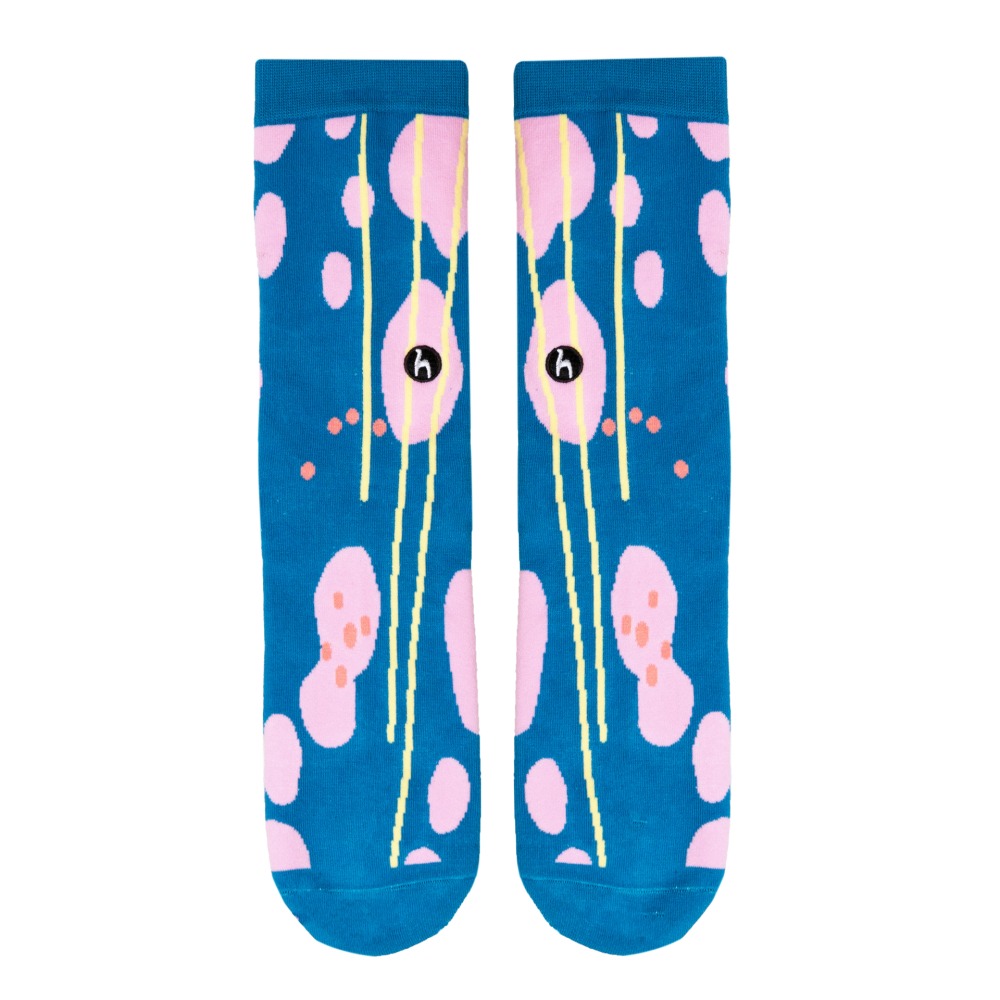 Shallow Socks 1