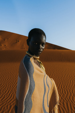 Desert - Sandstorm ANP|WWF® (2)