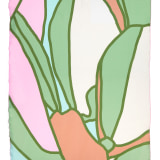 5600876521729_PAREO CRYSTAL_1_min